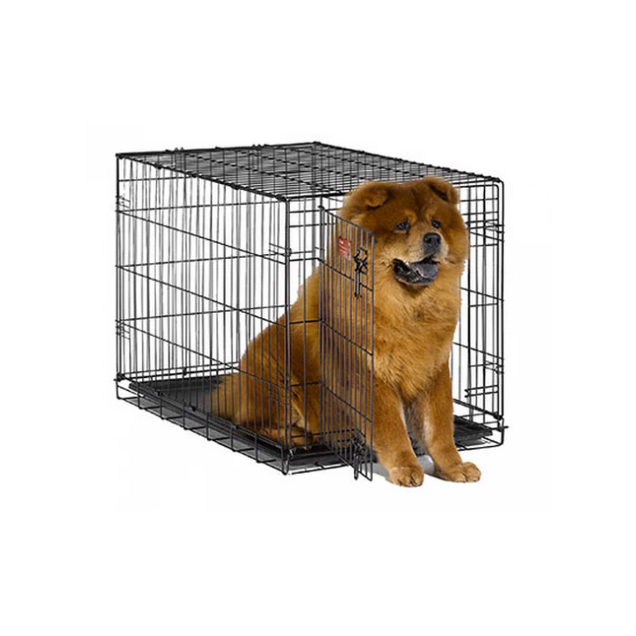 Dog Cage 30'