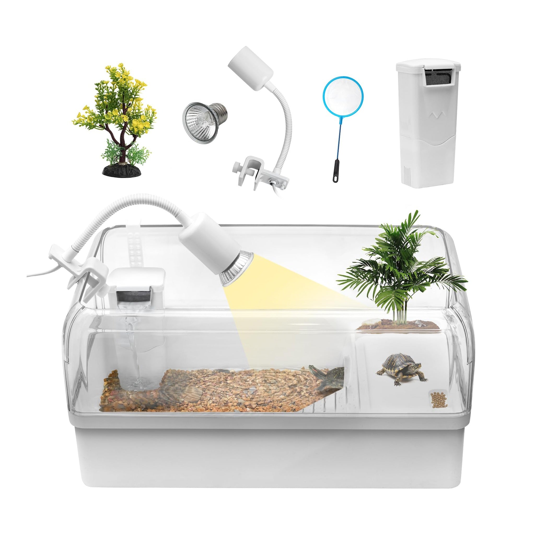 Pecera Para Tortugas De Agua