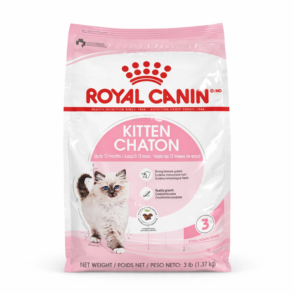 RC Kitten 3.5lbs