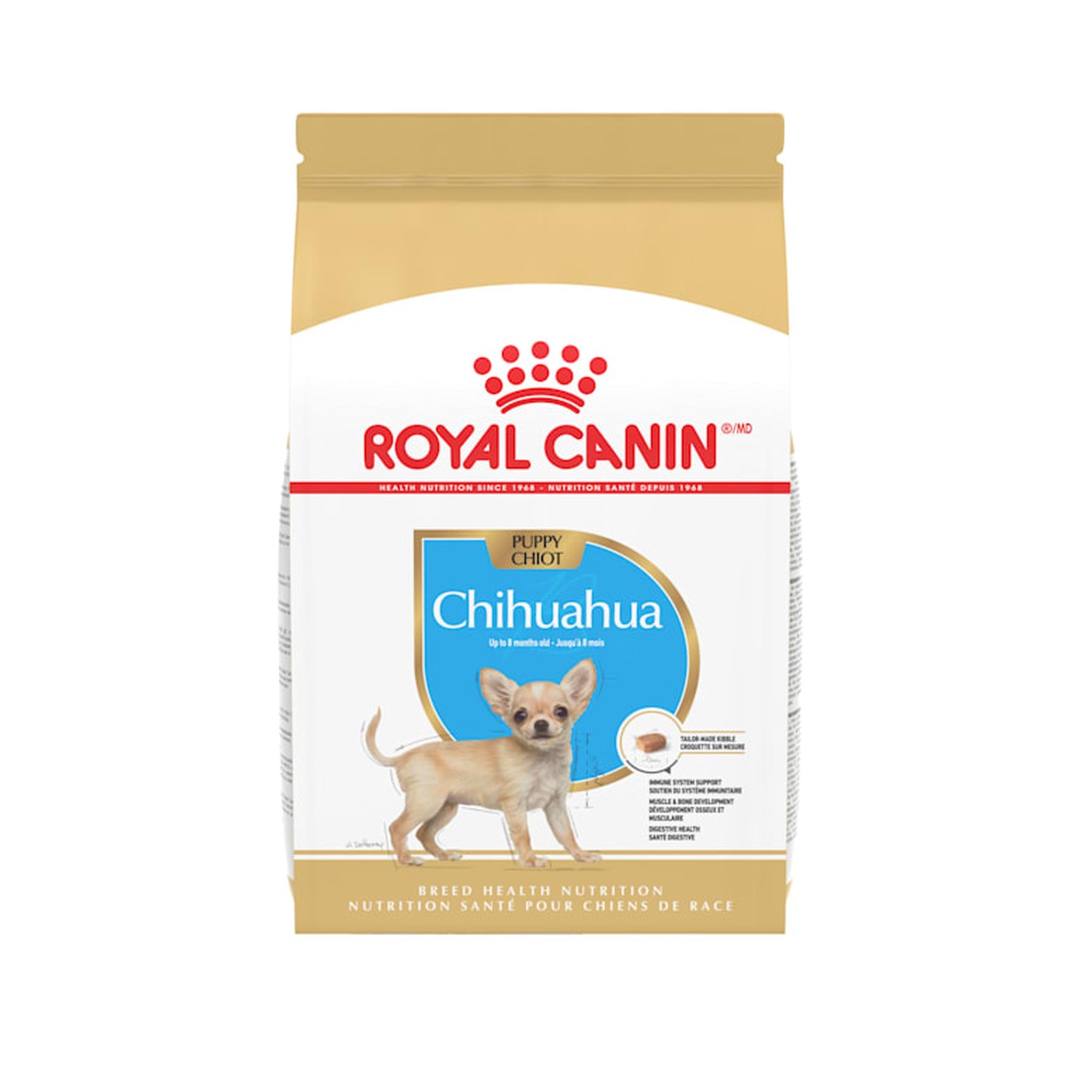 RC Chihuahua Puppy 2.5lb