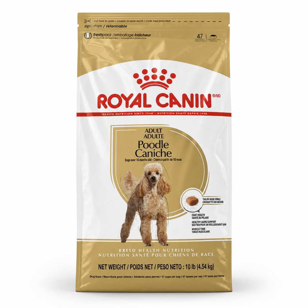 RC Poodle Caniche 10lbs