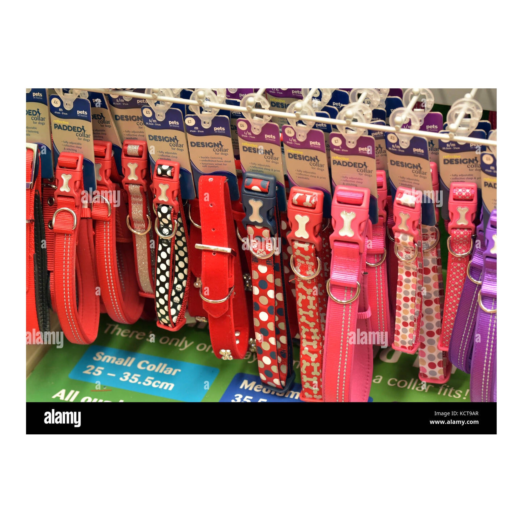 Collares Assorted 5.99