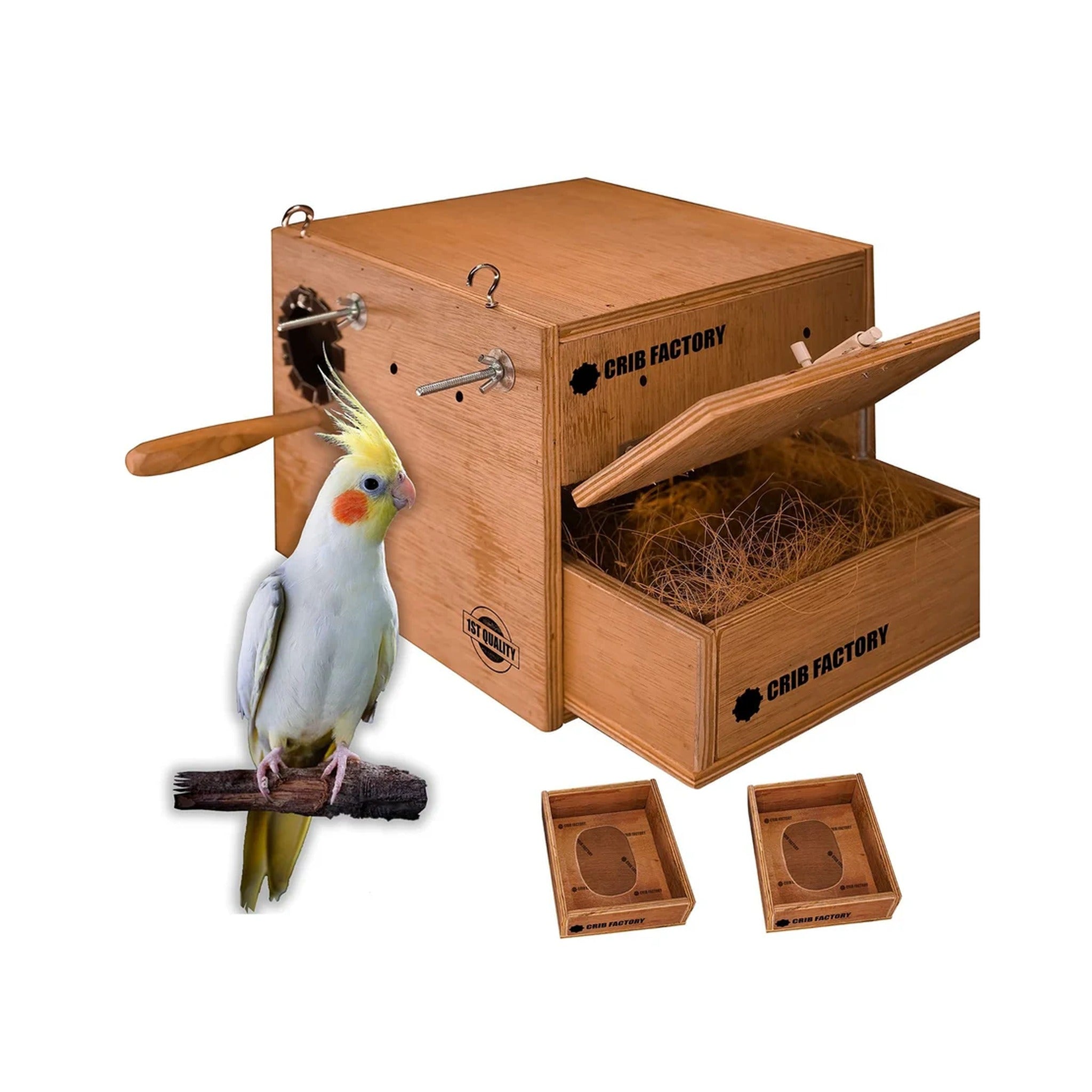 Nido de Madera Grande (Cockatiel)