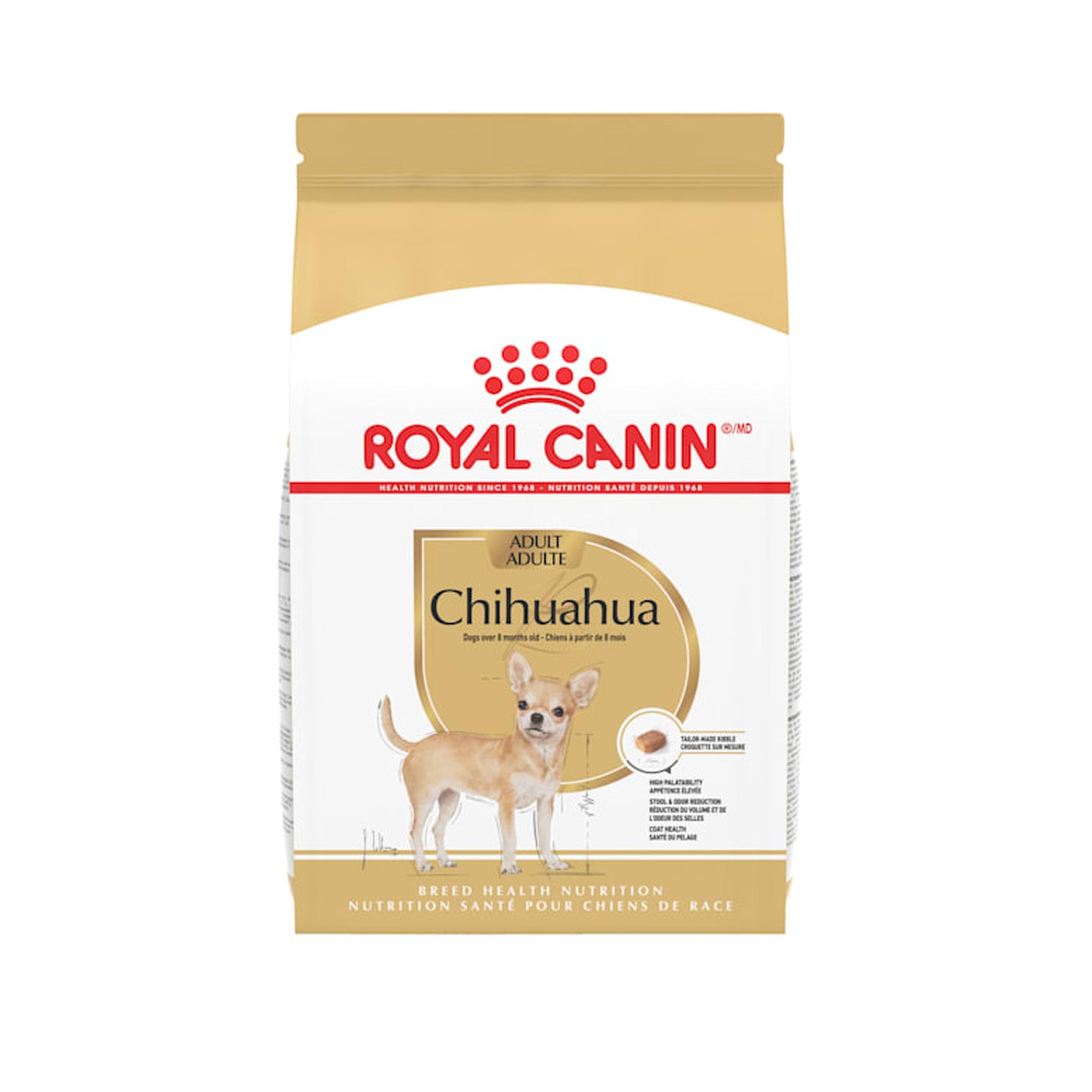 RC Chihuahua Adult