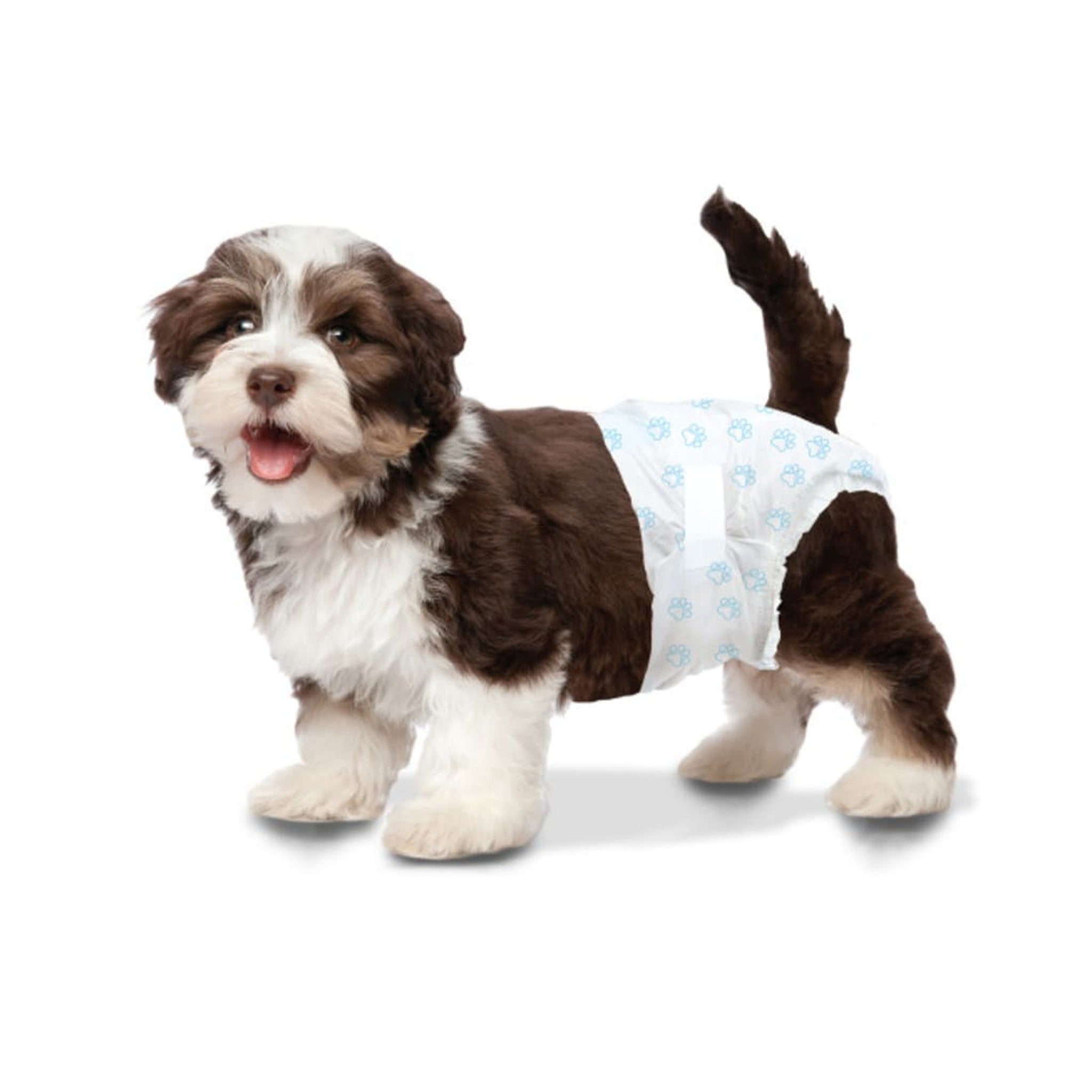 Wee Wee Diapers Small